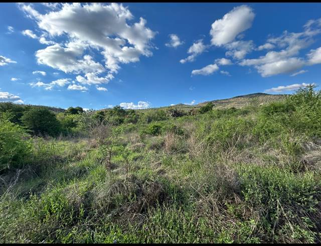 FARM FOR SALE IN SCHURVEBERG AH